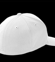 Pajzscímeres baseball sapka - Flexfit