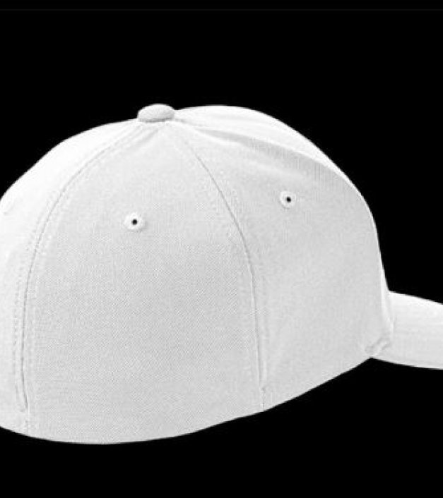 Pajzscímeres baseball sapka - Flexfit